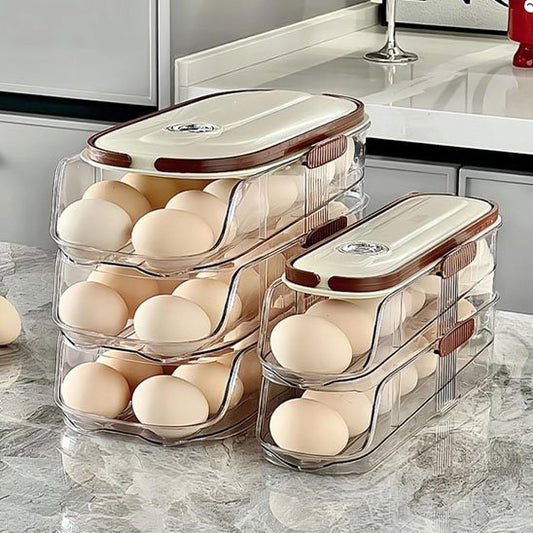 Boit- à-oeufs-plastique-contour-marron