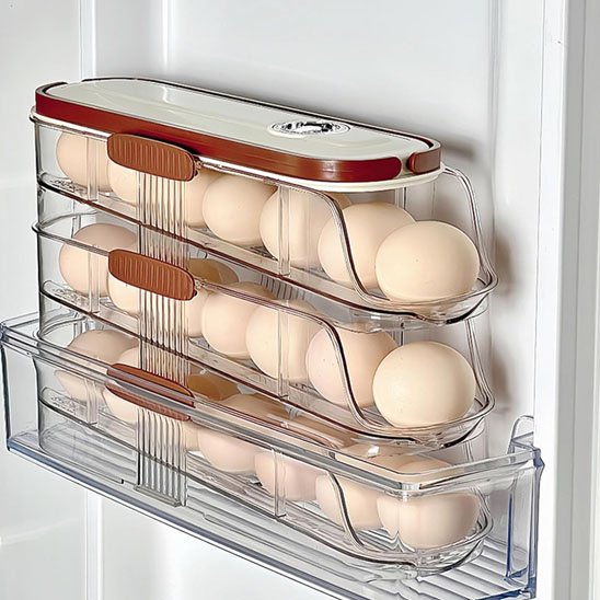 Boite-à-oeufs-dans-frigidaire