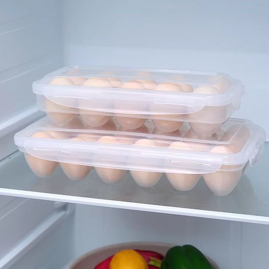 Boite-à-oeufs-dans-frigo 