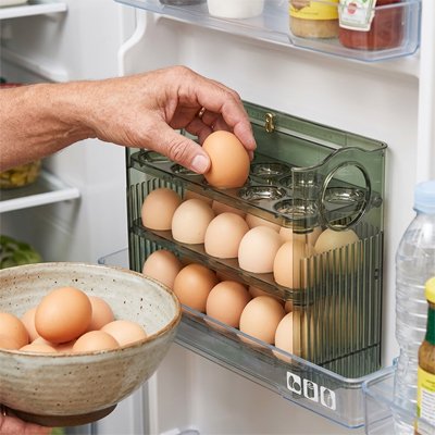 Boite-à-oeufs-vert-transparent